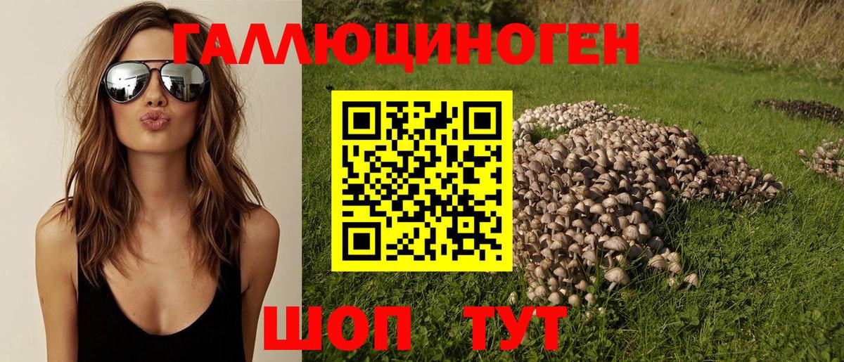 Галлюциногенные грибы Magic Shrooms  Галлюциногенные грибы прущие грибы  Пермь  Вход с VPN 